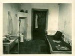 Photo 1913 - Typical Cell